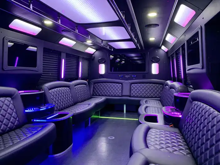 20 Passenger Party Bus Interior